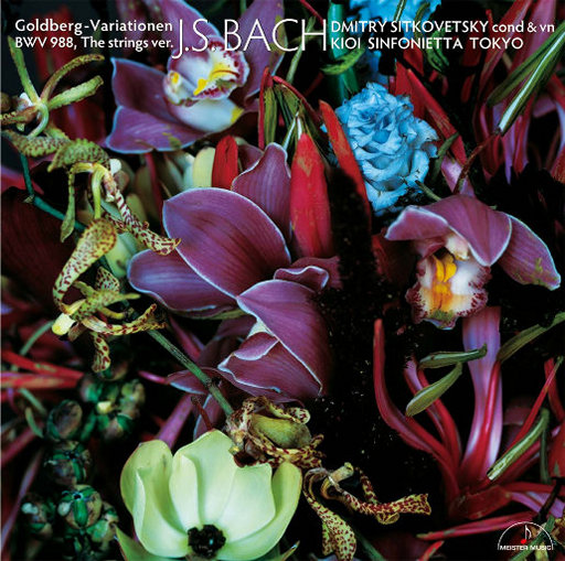 被❌到爽🔞流片动漫火影
